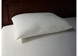 Memory Foam Luxury Pillow 1