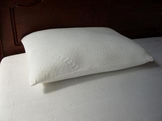 Memory Foam Luxury Pillow